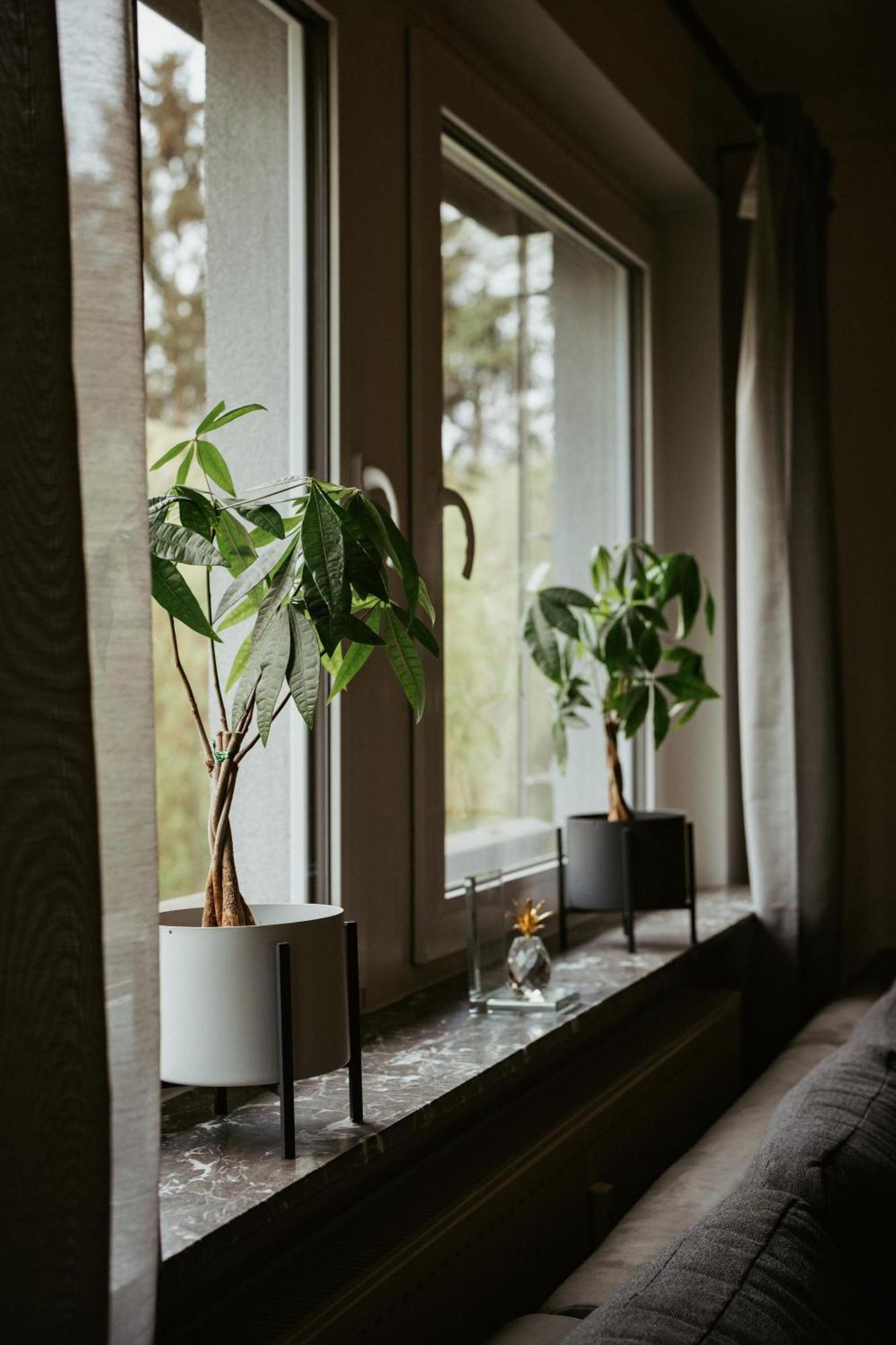 Ferienwohnung „Goettschied“ Idar-Oberstein Ngoại thất bức ảnh